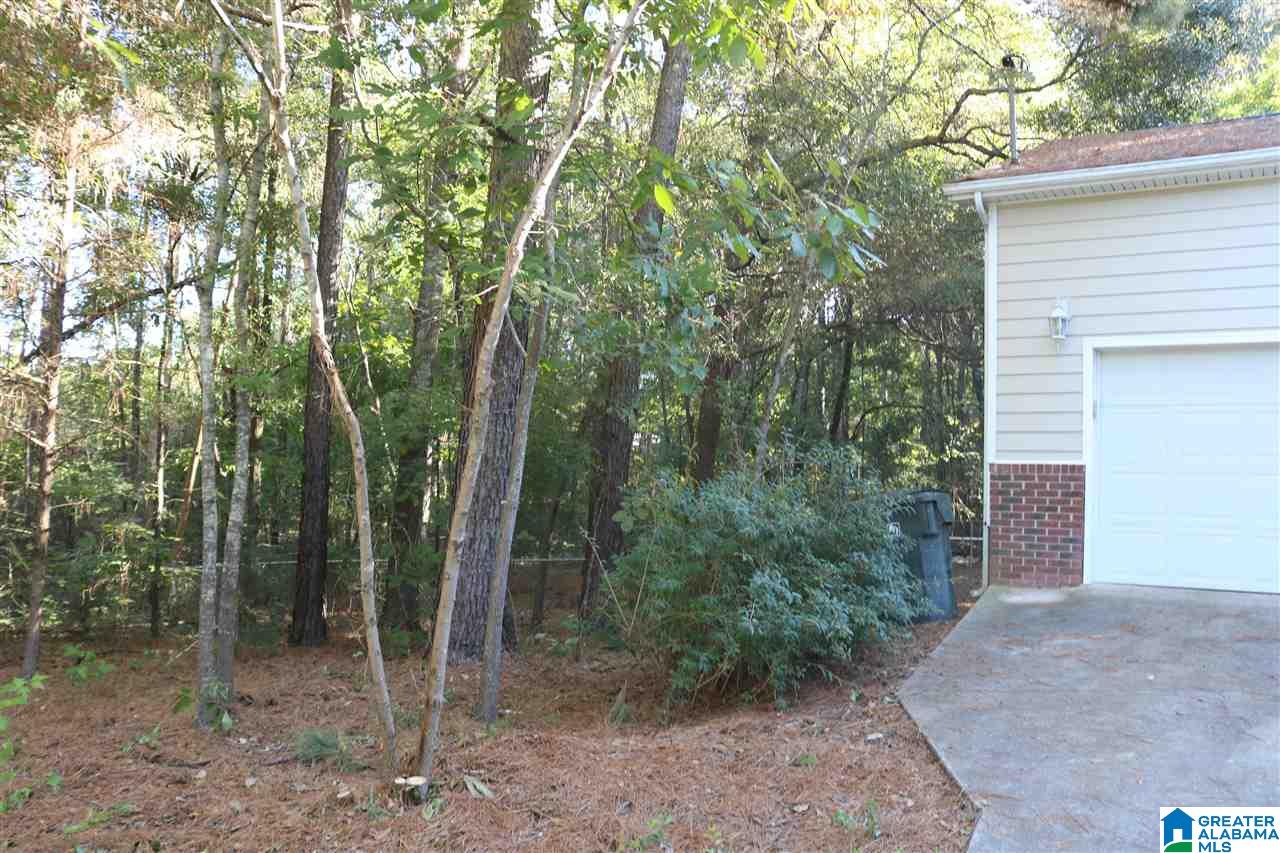 315 Anna Mattison Road Oxford, AL 36203 - Photo 40 of 41