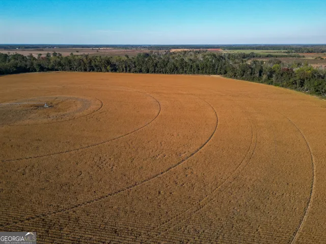 $980,000 | 0 Buck Road, Morgan, GA 39866