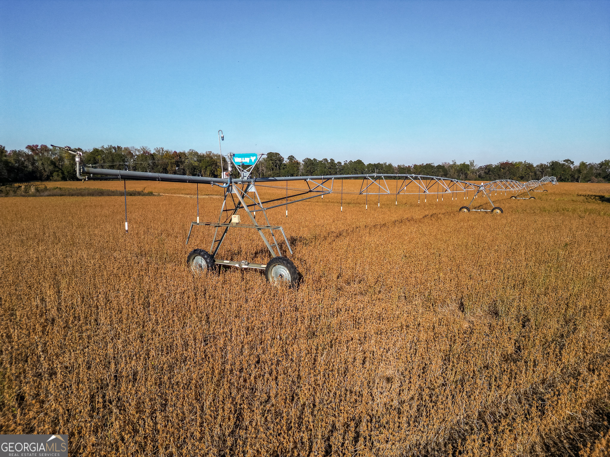 0 Buck Road Morgan, GA 39866 - Photo 12 of 20