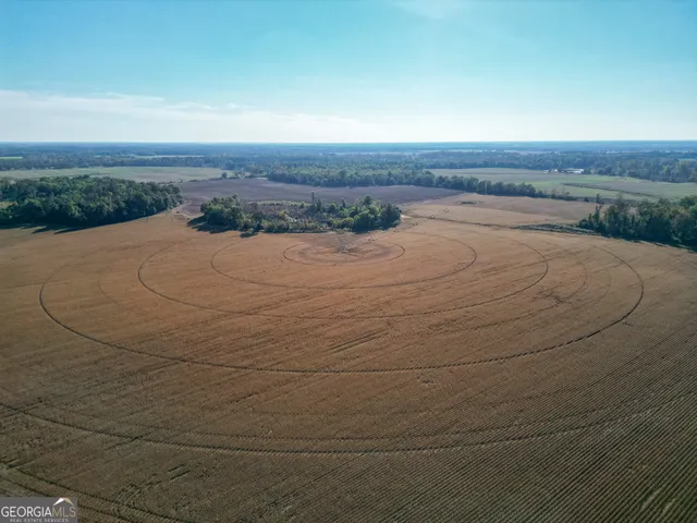 $980,000 | 0 Buck Road, Morgan, GA 39866