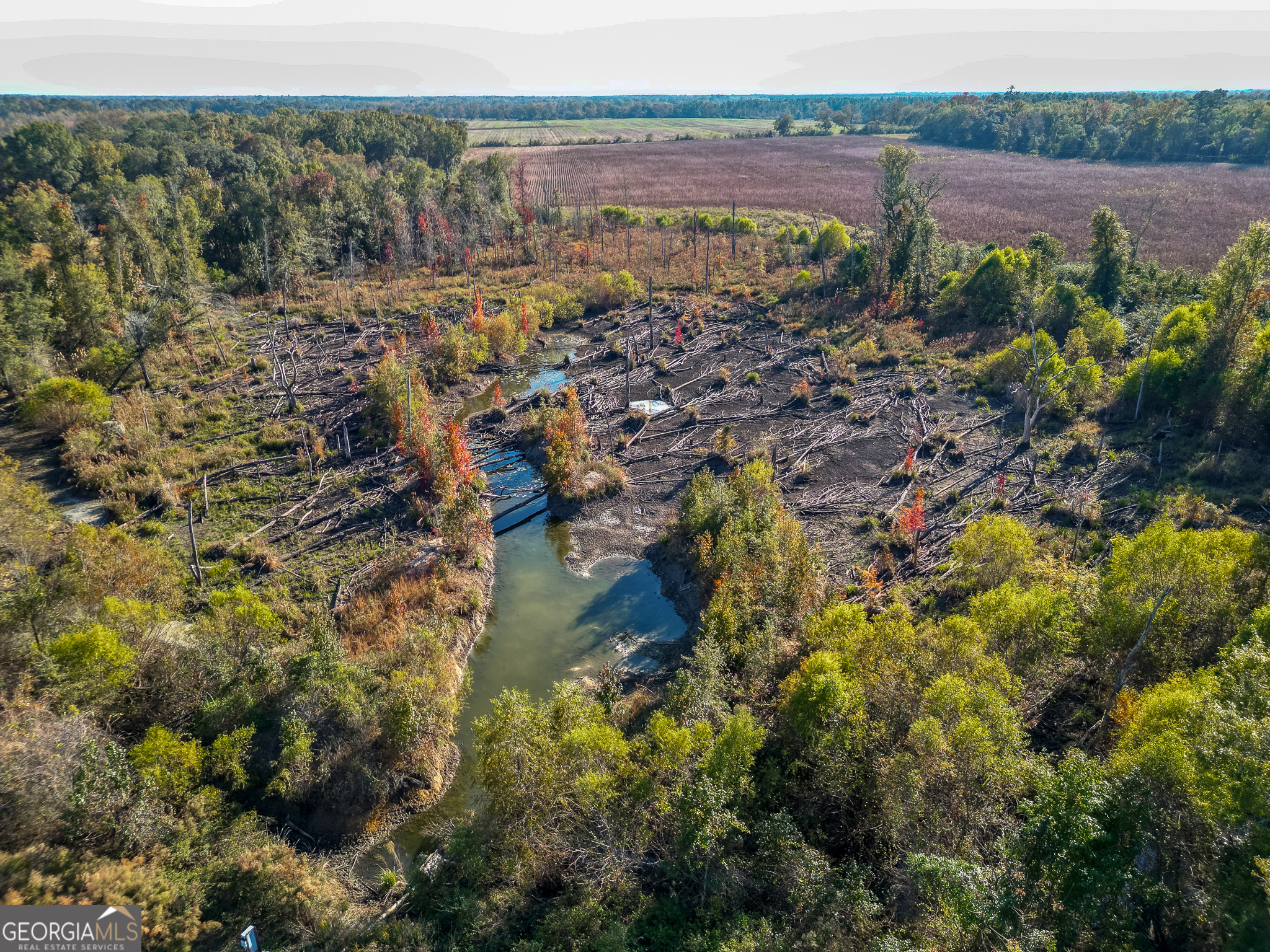0 Buck Road Morgan, GA 39866 - Photo 18 of 20