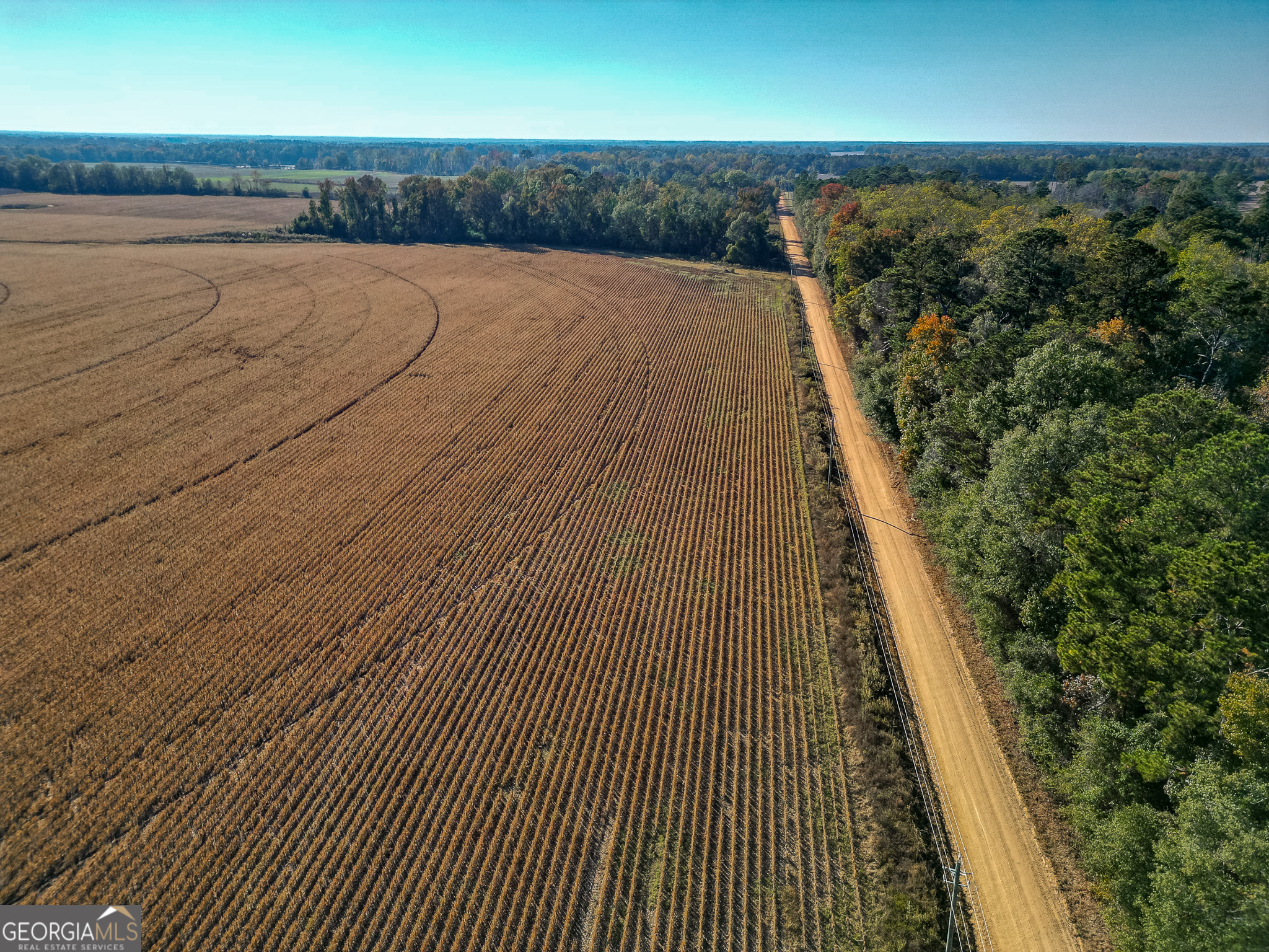 0 Buck Road Morgan, GA 39866 - Photo 20 of 20