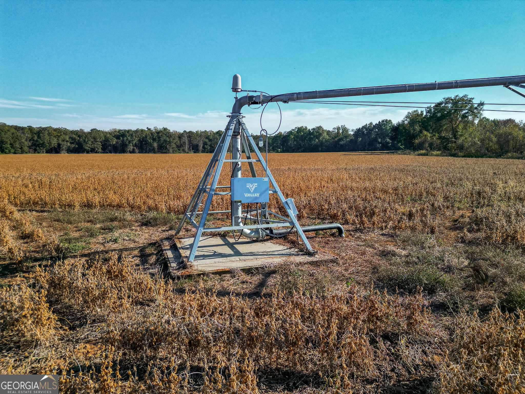 0 Buck Road Morgan, GA 39866 - Photo 2 of 20