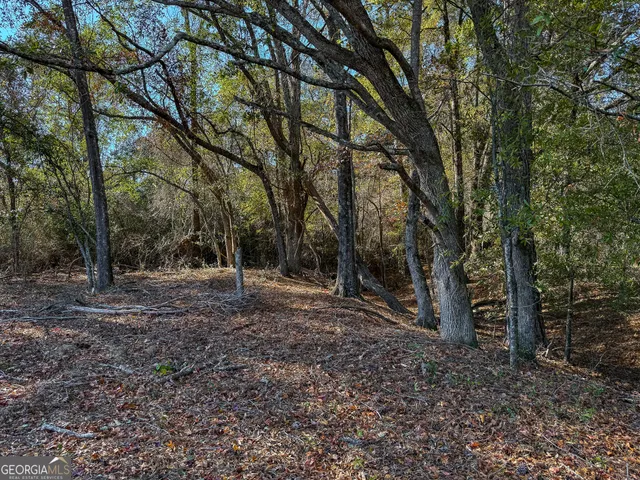 $980,000 | 0 Buck Road, Morgan, GA 39866