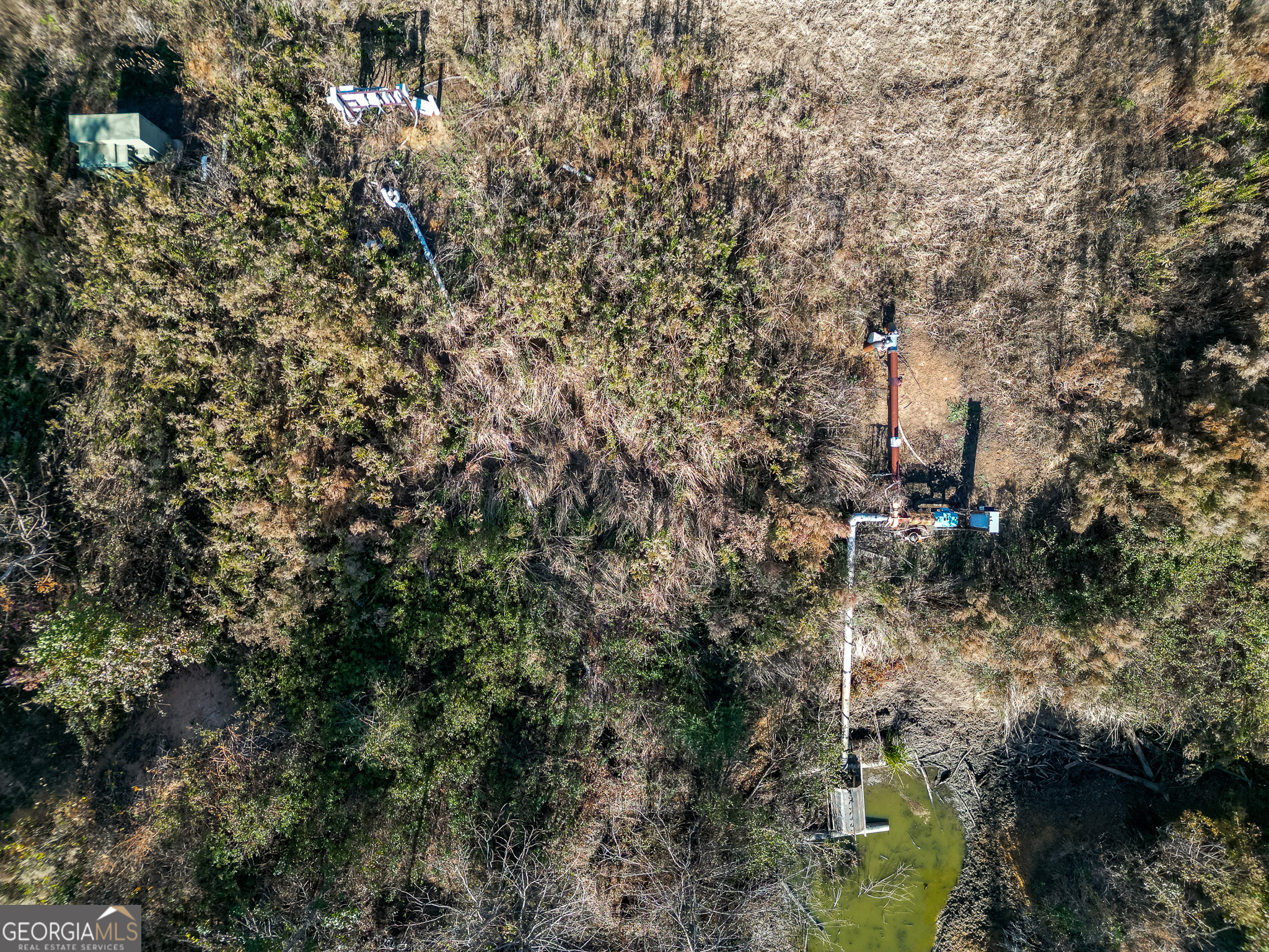 0 Buck Road Morgan, GA 39866 - Photo 6 of 20