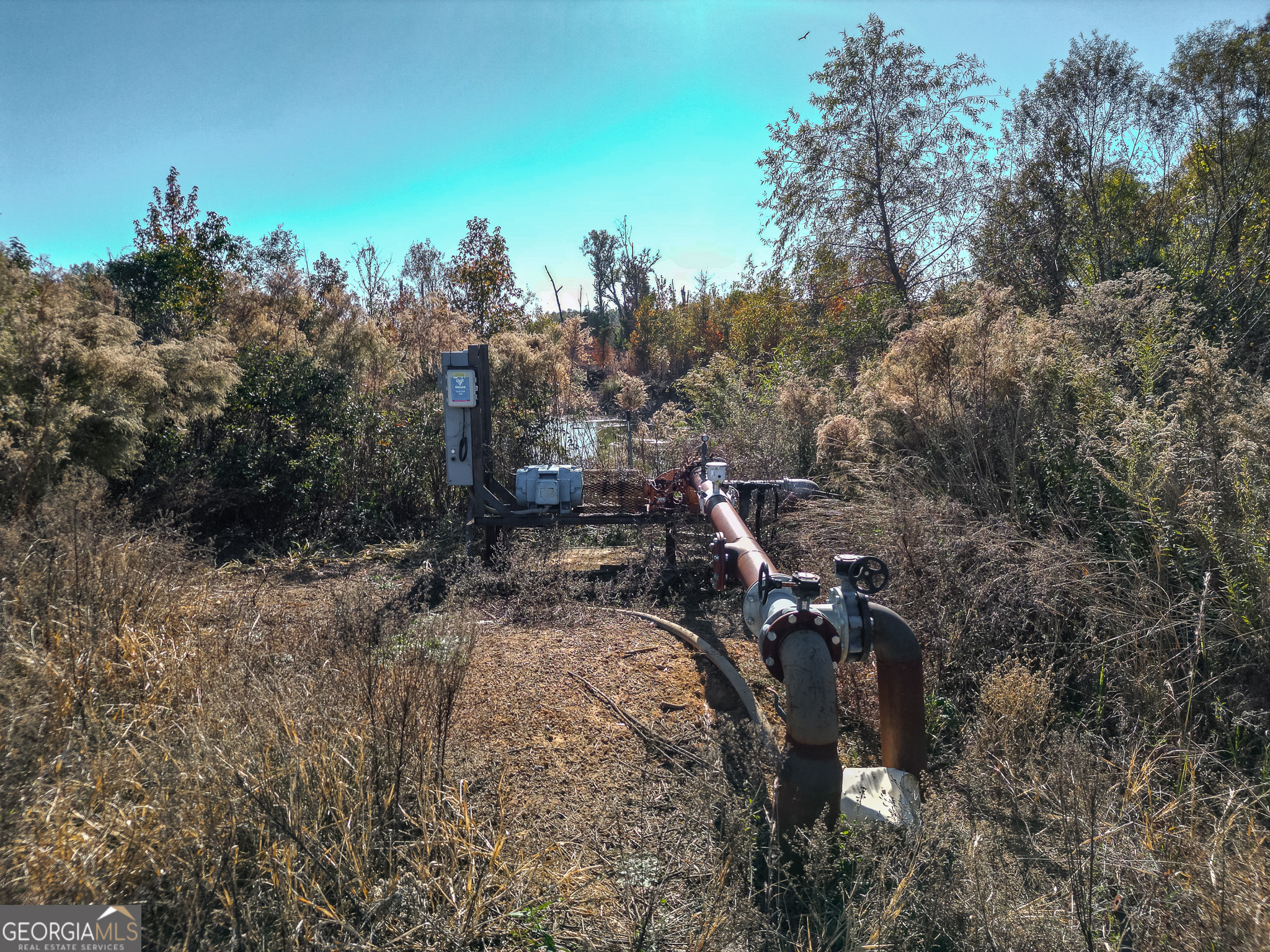 0 Buck Road Morgan, GA 39866 - Photo 7 of 20