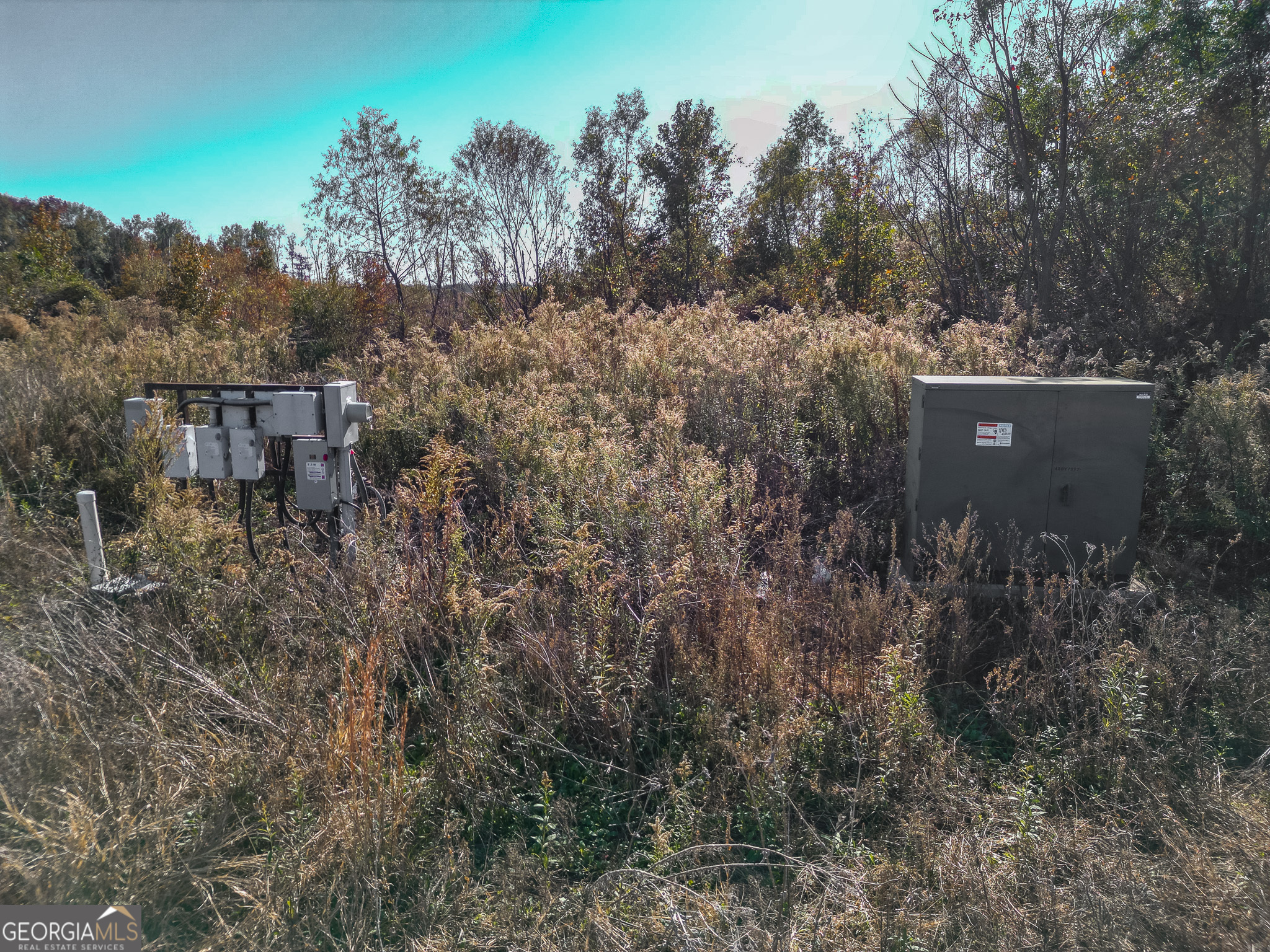 0 Buck Road Morgan, GA 39866 - Photo 8 of 20