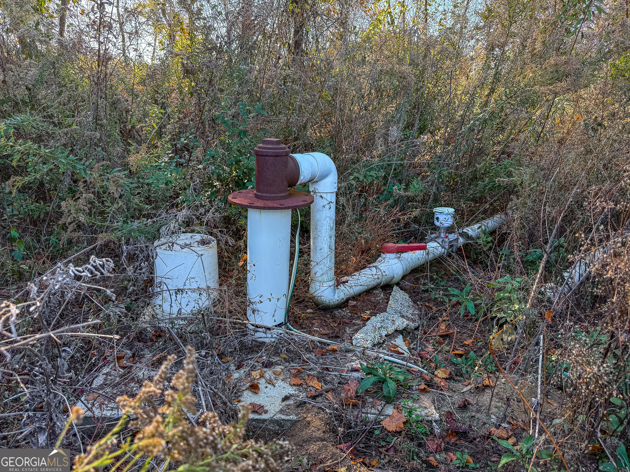 0 Buck Road Morgan, GA 39866 - Photo 9 of 20