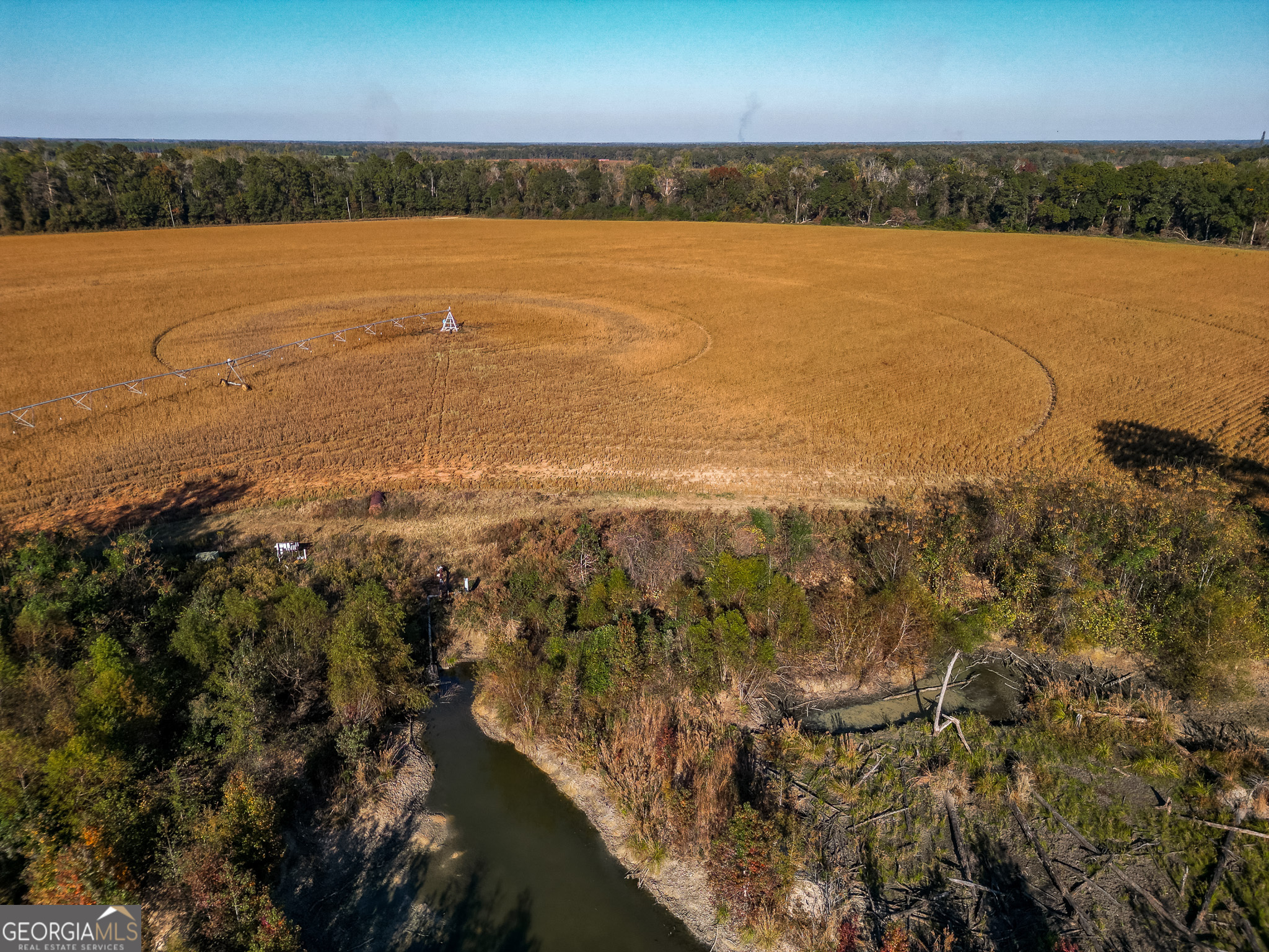 0 Buck Road Morgan, GA 39866 - Photo 10 of 20