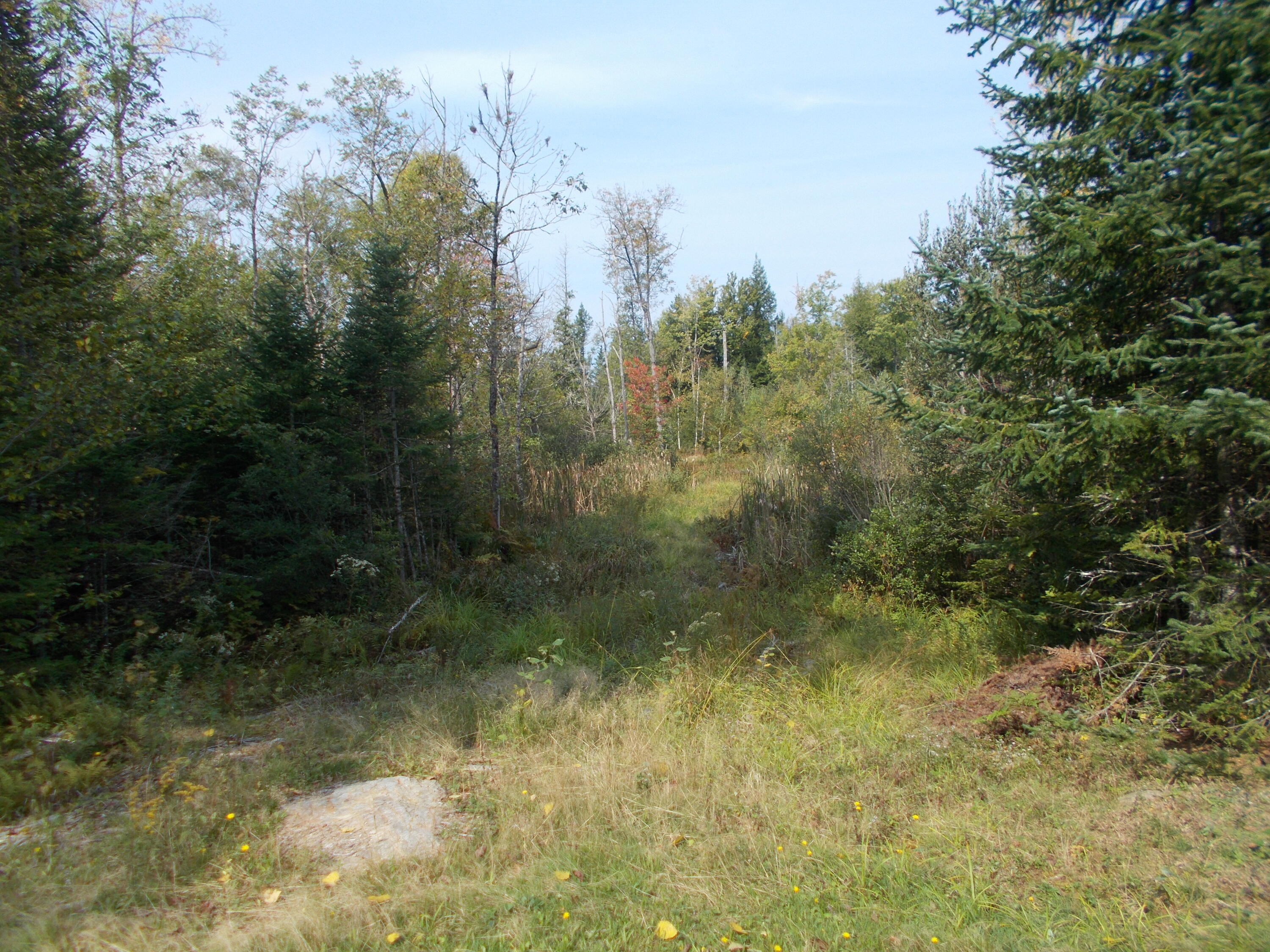 209 Winnecook Road Burnham, ME 04922 - Photo 16 of 16 DSCN2627