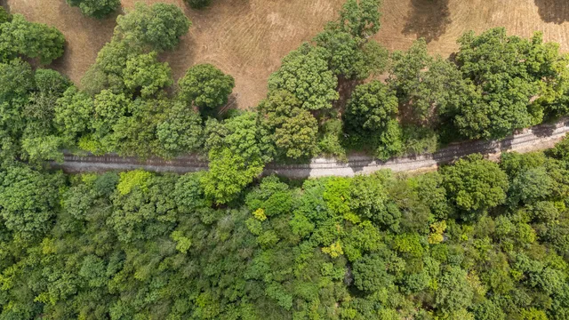 $1,399,900 | 2820 Skyview Drive, Centerville, TN 37033