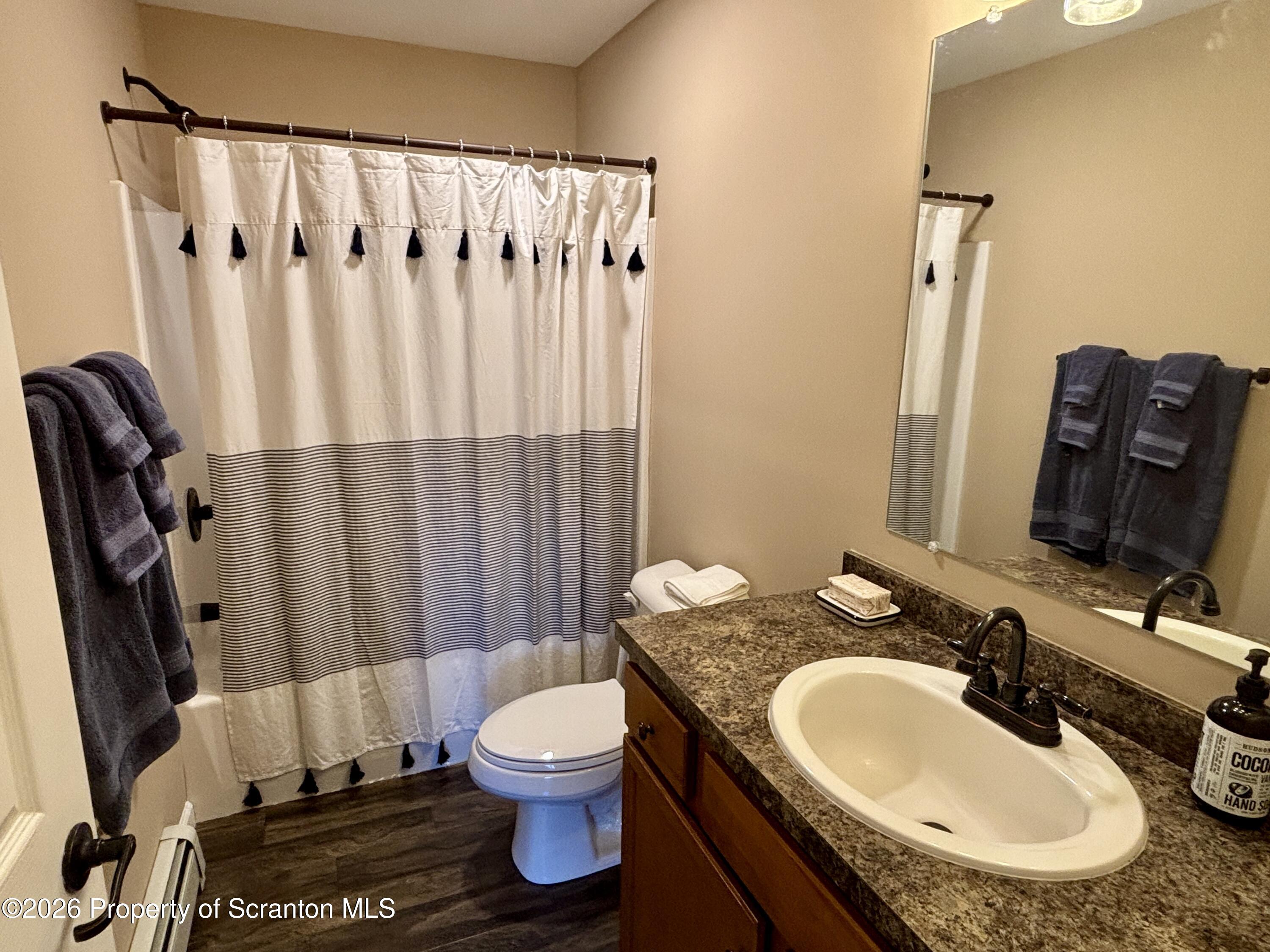 11 Brannigan Road Pleasant Mount, PA 18453 - Photo 38 of 42 Full Bathroom