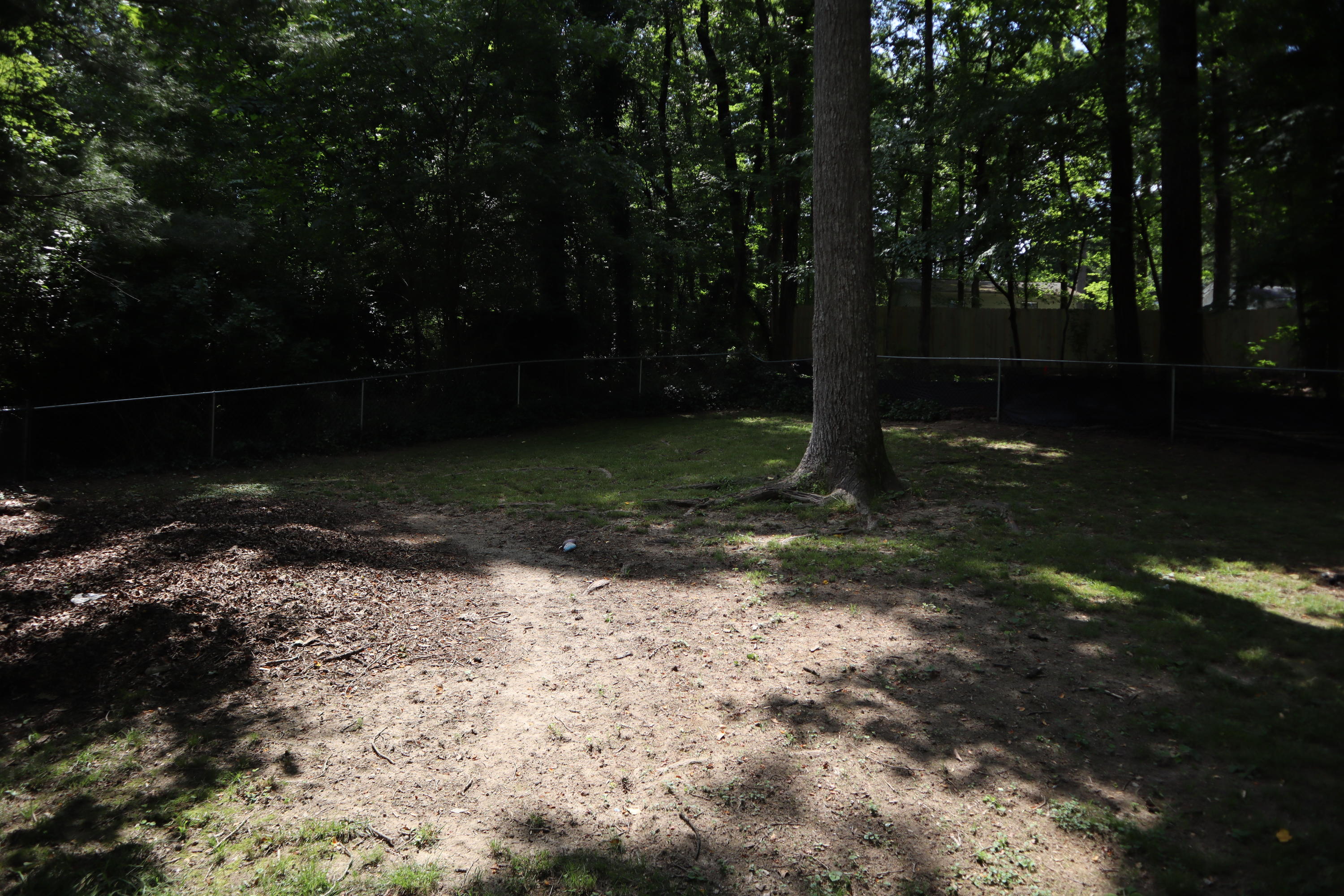 153 California Avenue Oak Ridge, TN 37830 - Photo 13 of 15 IMG_1080