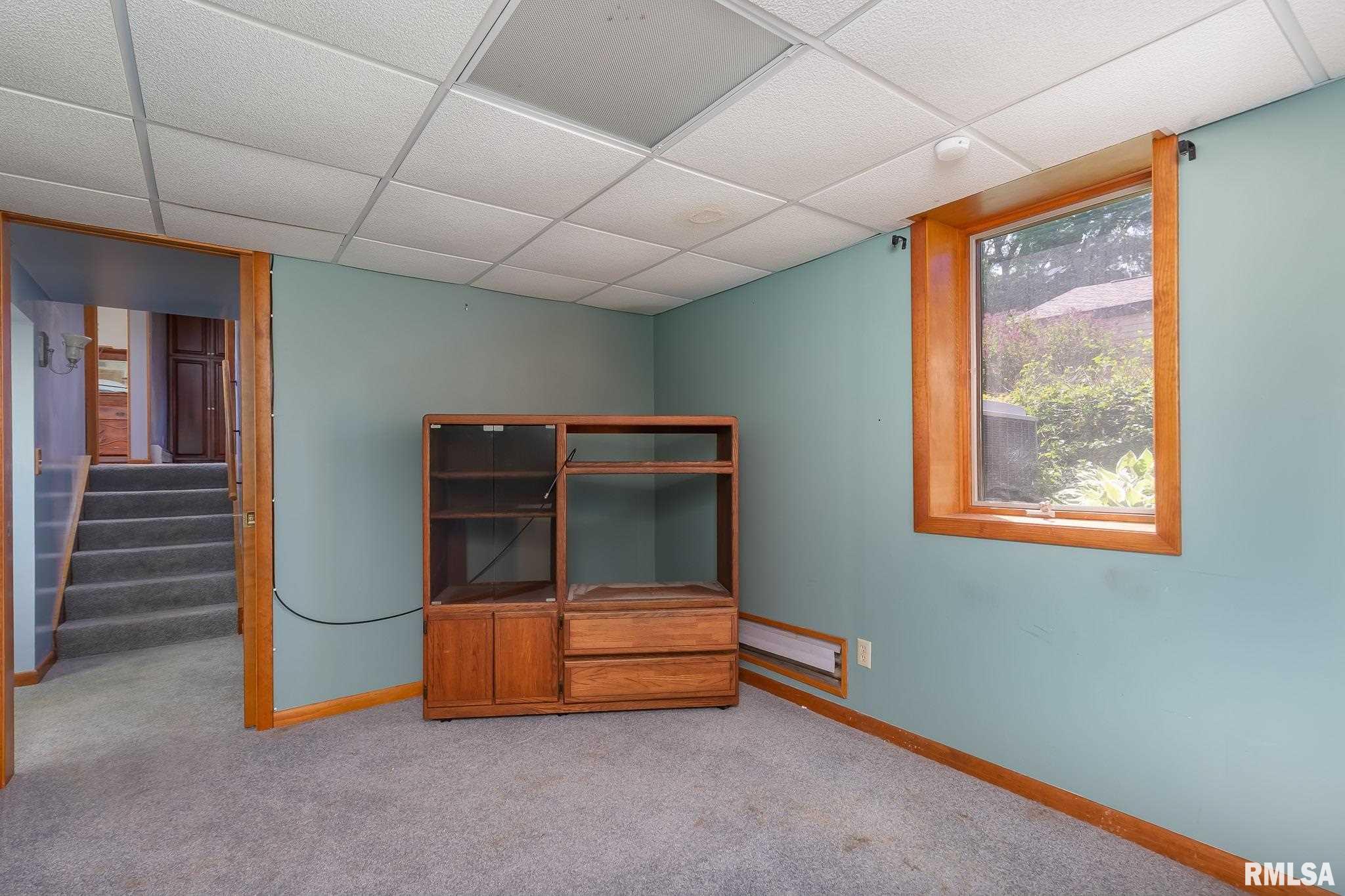 404 Cedar Street Andover, IL 61233 - Photo 27 of 39 Gallery Image 27