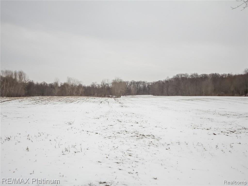 550 Dieterle Road Fowlerville, MI 48836 - Photo 59 of 66