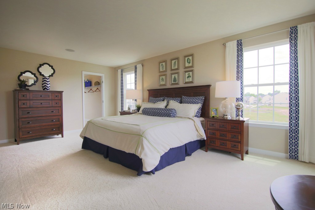 8897 Harvest Ridge Way North Ridgeville, OH 44039 - Photo 9 of 23 Gallery Image 9