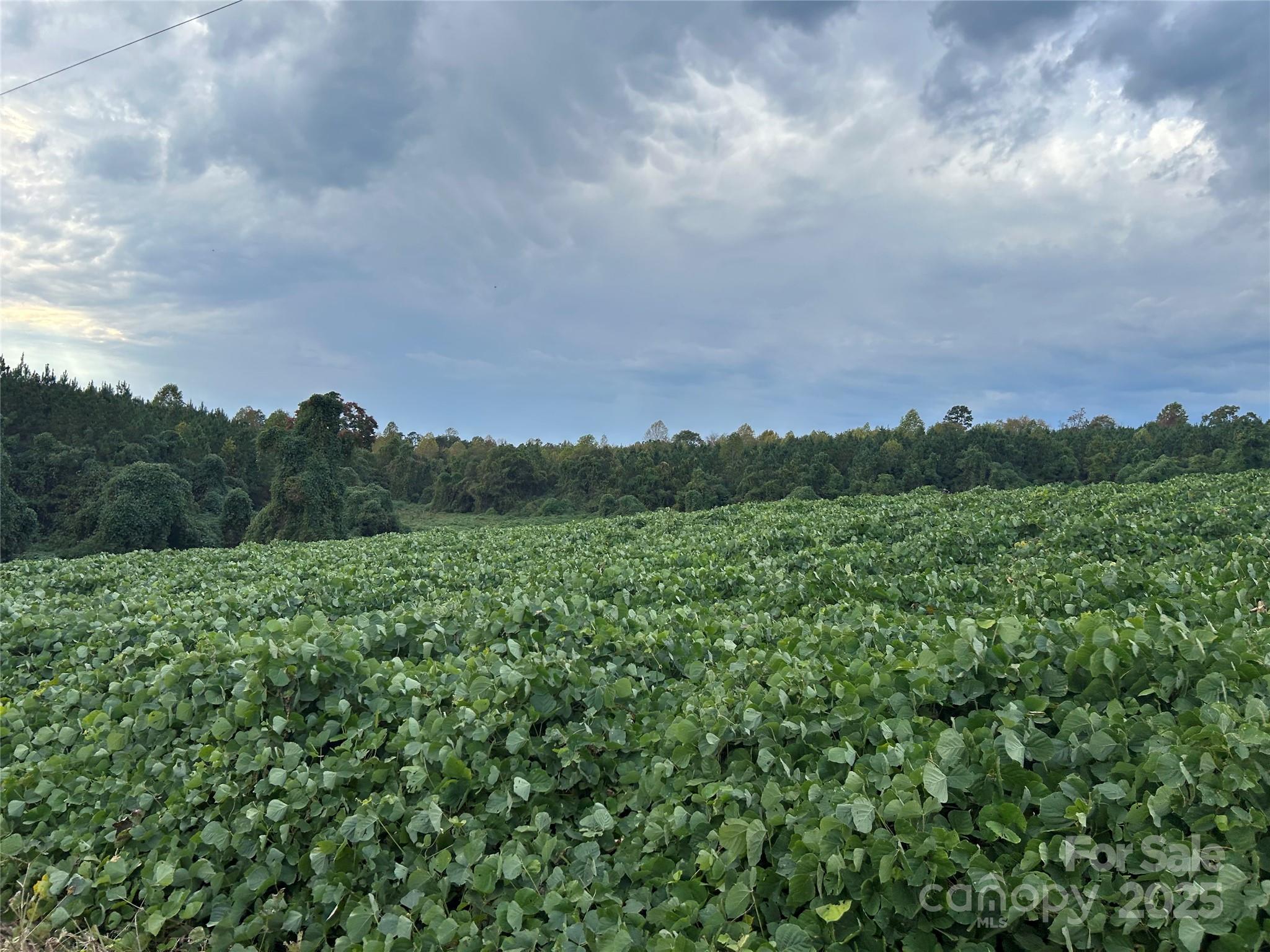 0 Old Yorkville Road Blacksburg, SC 29702 - Photo 2 of 5 a view of a city and green field