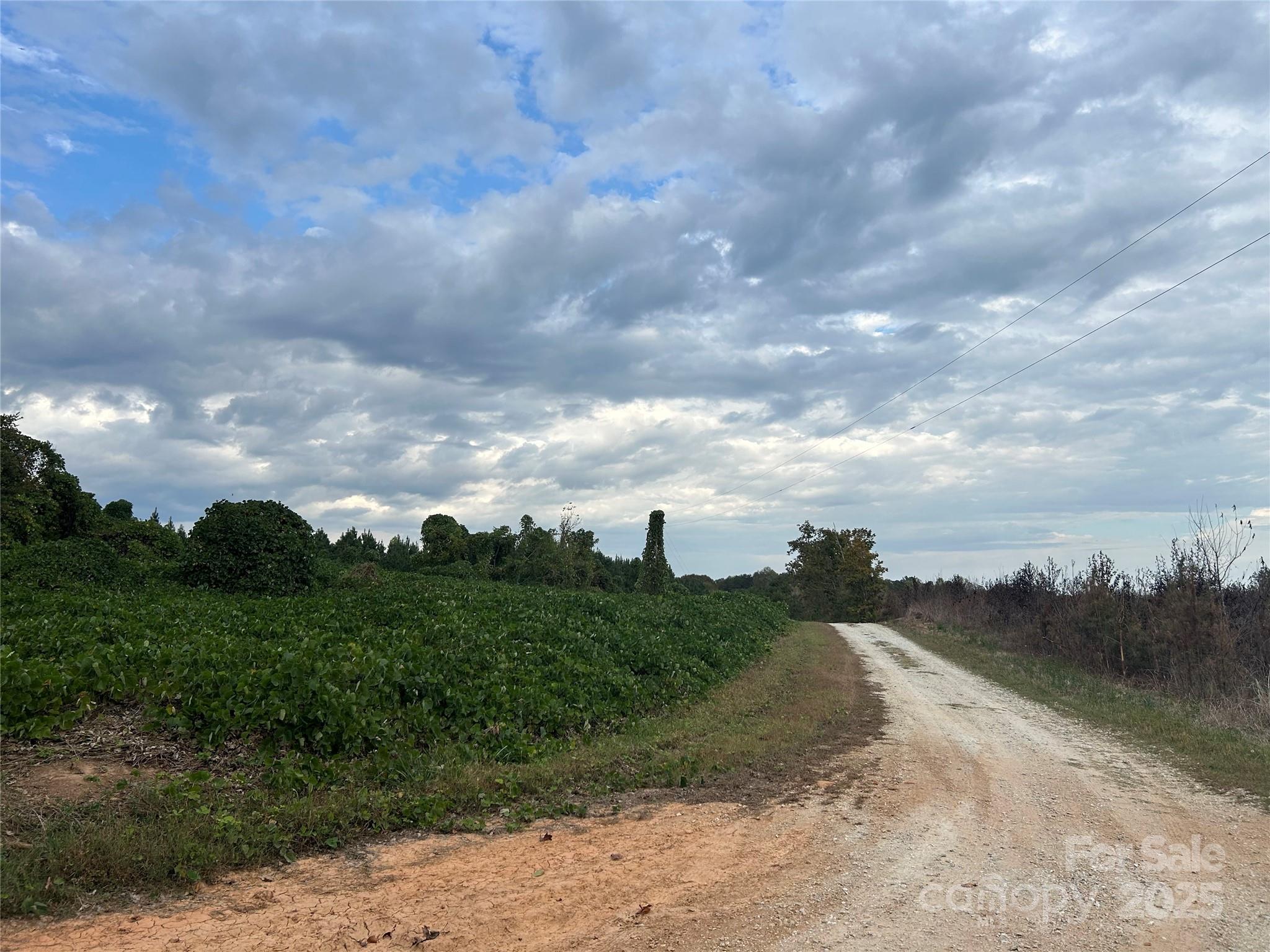 0 Old Yorkville Road Blacksburg, SC 29702 - Photo 4 of 5 a view of a lake with a big yard