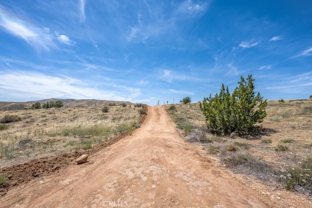 0 Briggs Road Agua Dulce, CA 91390 - Photo 6 of 10