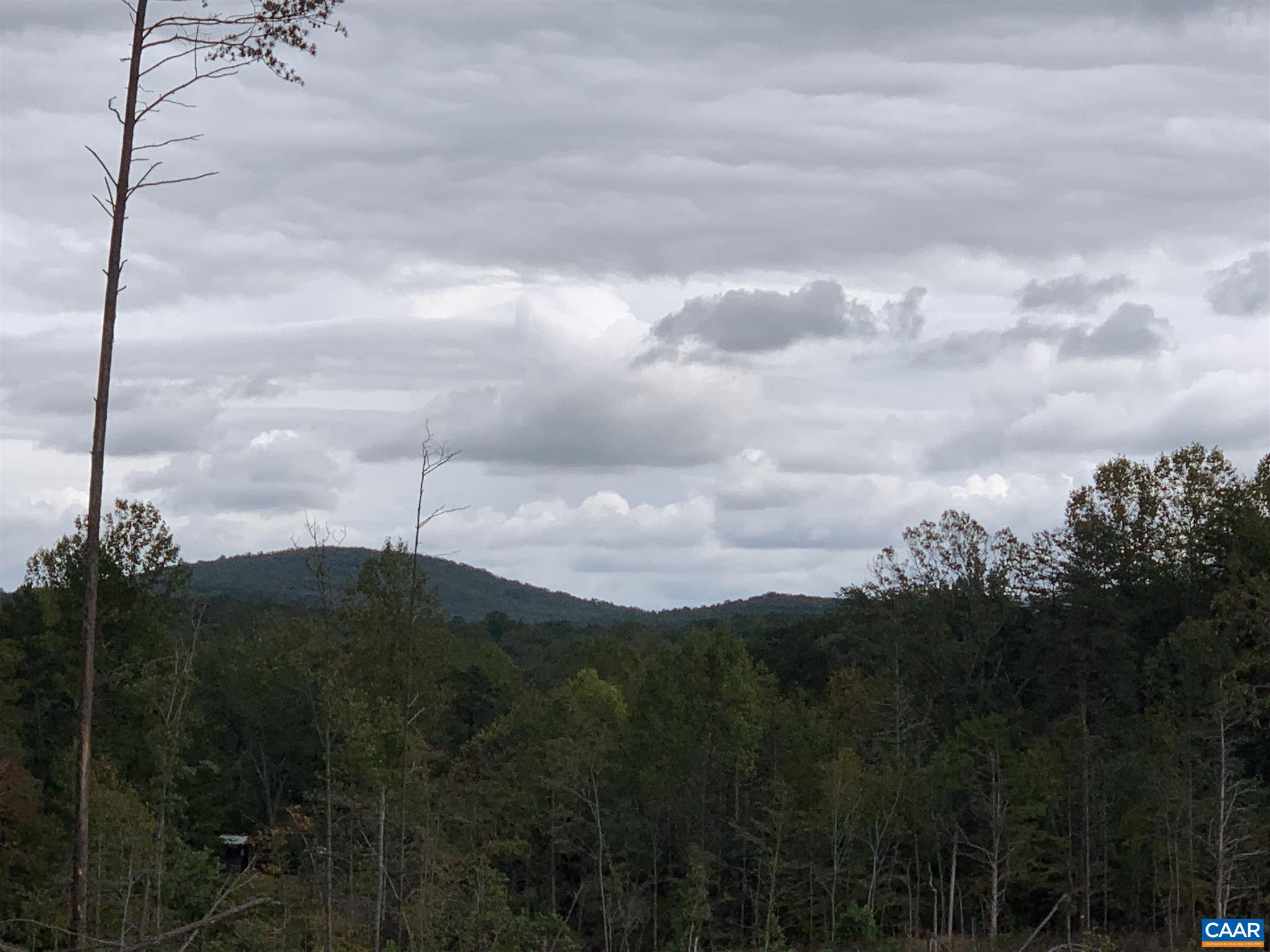 0 Ridge Road Barboursville, VA 22923 - Photo 26 of 28 Gallery Image 26