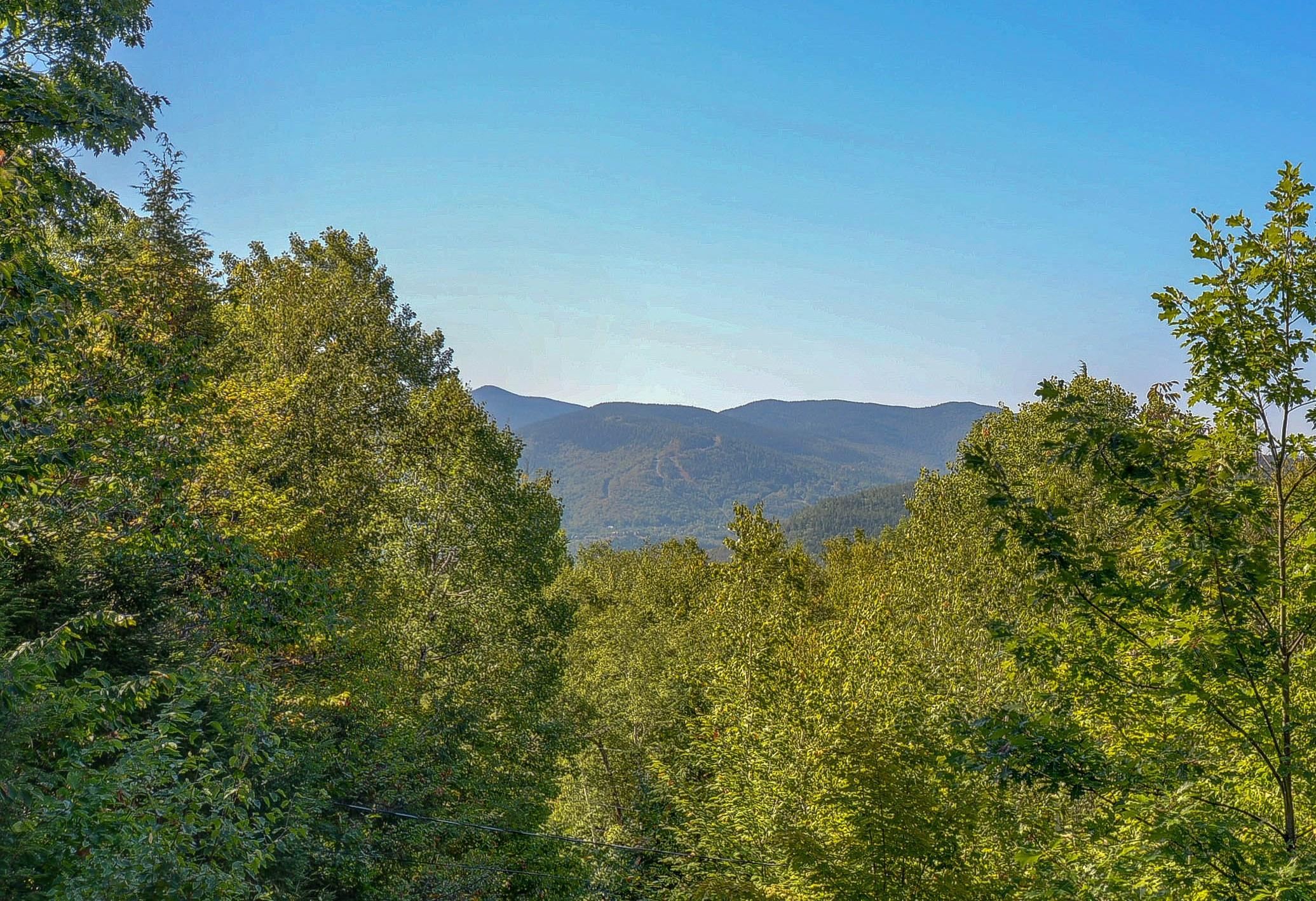 38 Iron Ledge Road Bartlett, NH 03838 - Photo 34 of 40