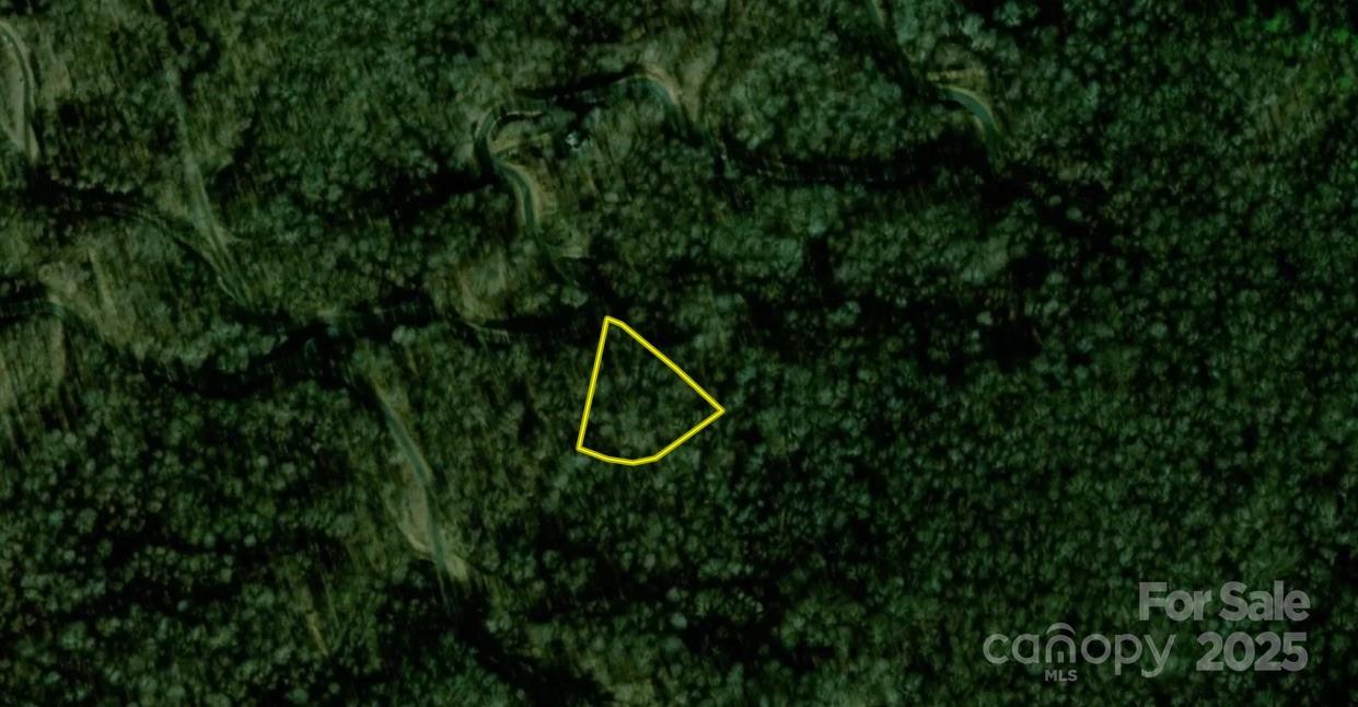 0 Fawn Road, Unit 22 Bakersville, NC 28705 - Photo 2 of 6 a view of a backyard