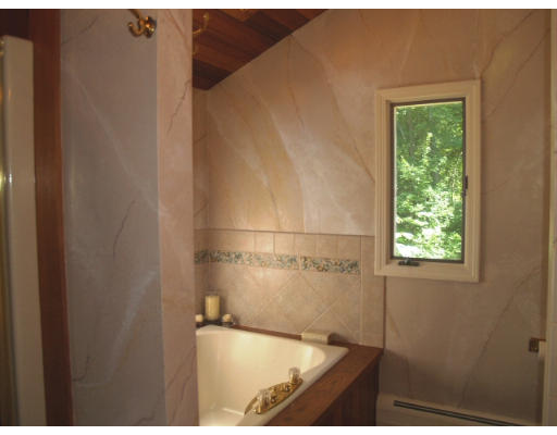 6 Ash Street Lexington, MA 02421 - Photo 14 of 18 a bathroom with a bathtub