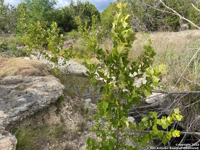 $989,000 | 326 Rocky Creek Road, Medina, TX 78055