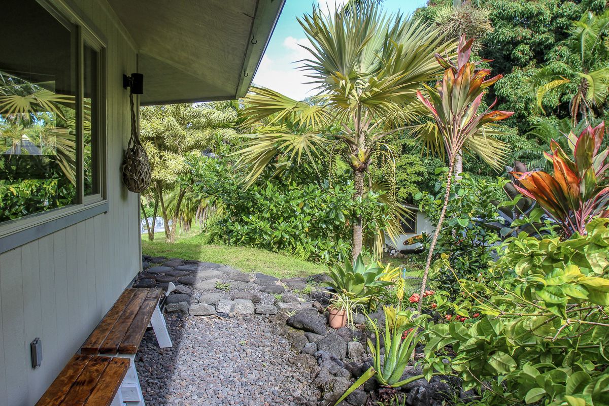 13-178 Kamaili Road Pahoa, HI 96778 - Photo 11 of 30 a backyard of a house with lots of green space