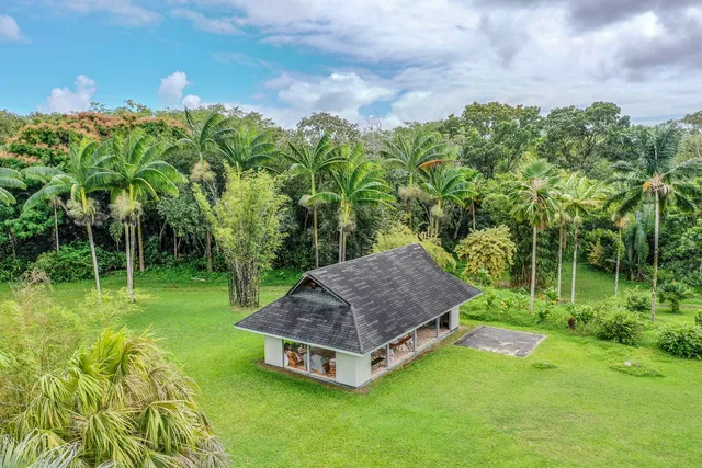 a view of a backyard with plants and a garden