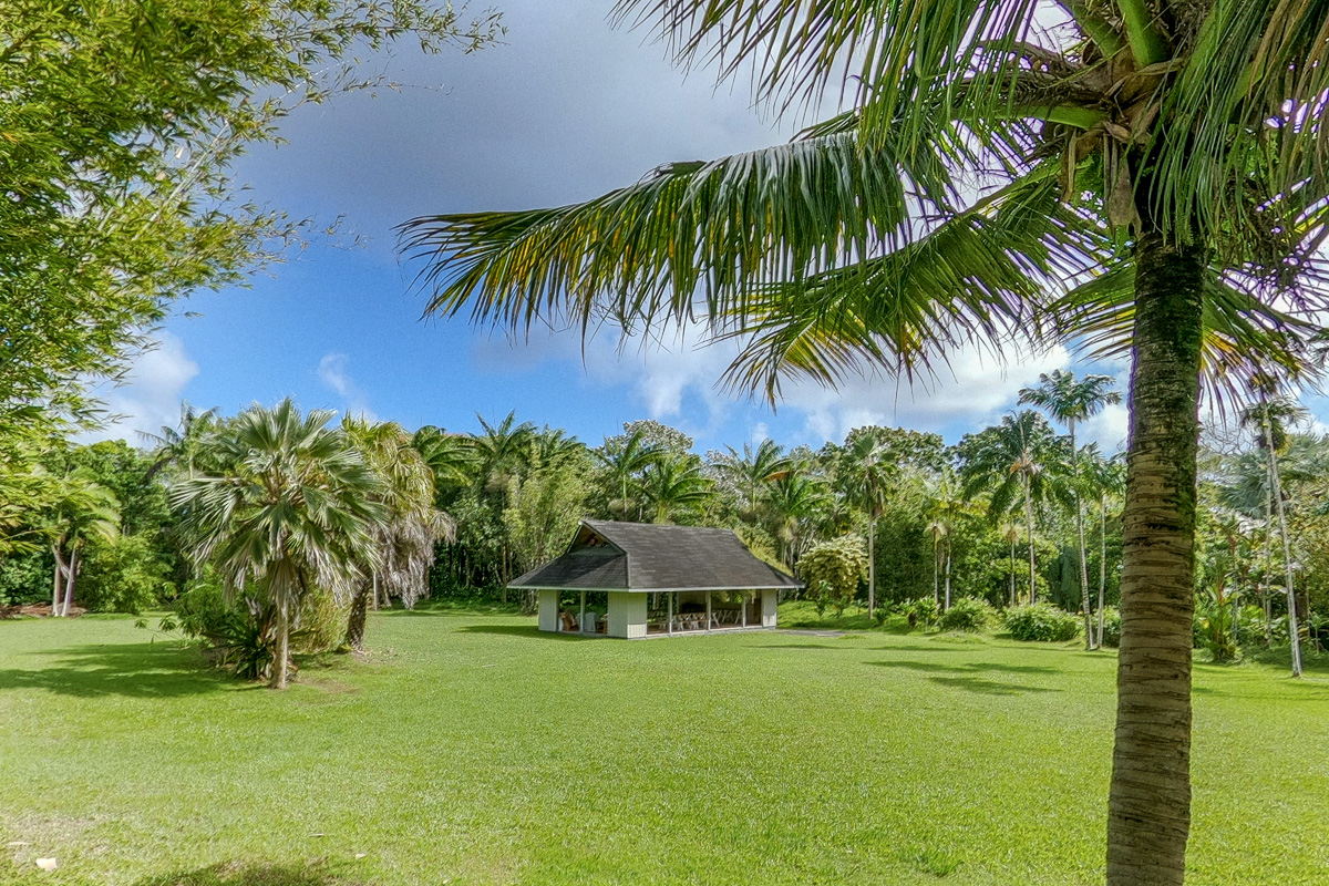 13-178 Kamaili Road Pahoa, HI 96778 - Photo 16 of 30 a front view of a house with a yard
