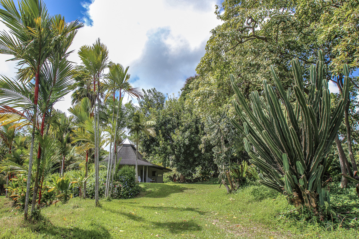 13-178 Kamaili Road Pahoa, HI 96778 - Photo 17 of 30 a view of a house with a yard
