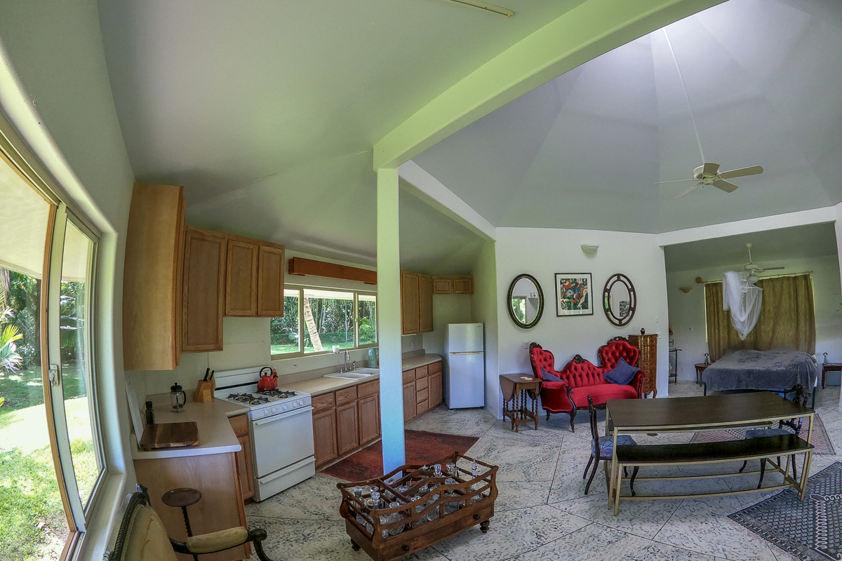 13-178 Kamaili Road Pahoa, HI 96778 - Photo 19 of 30 a living room with furniture and a potted plant
