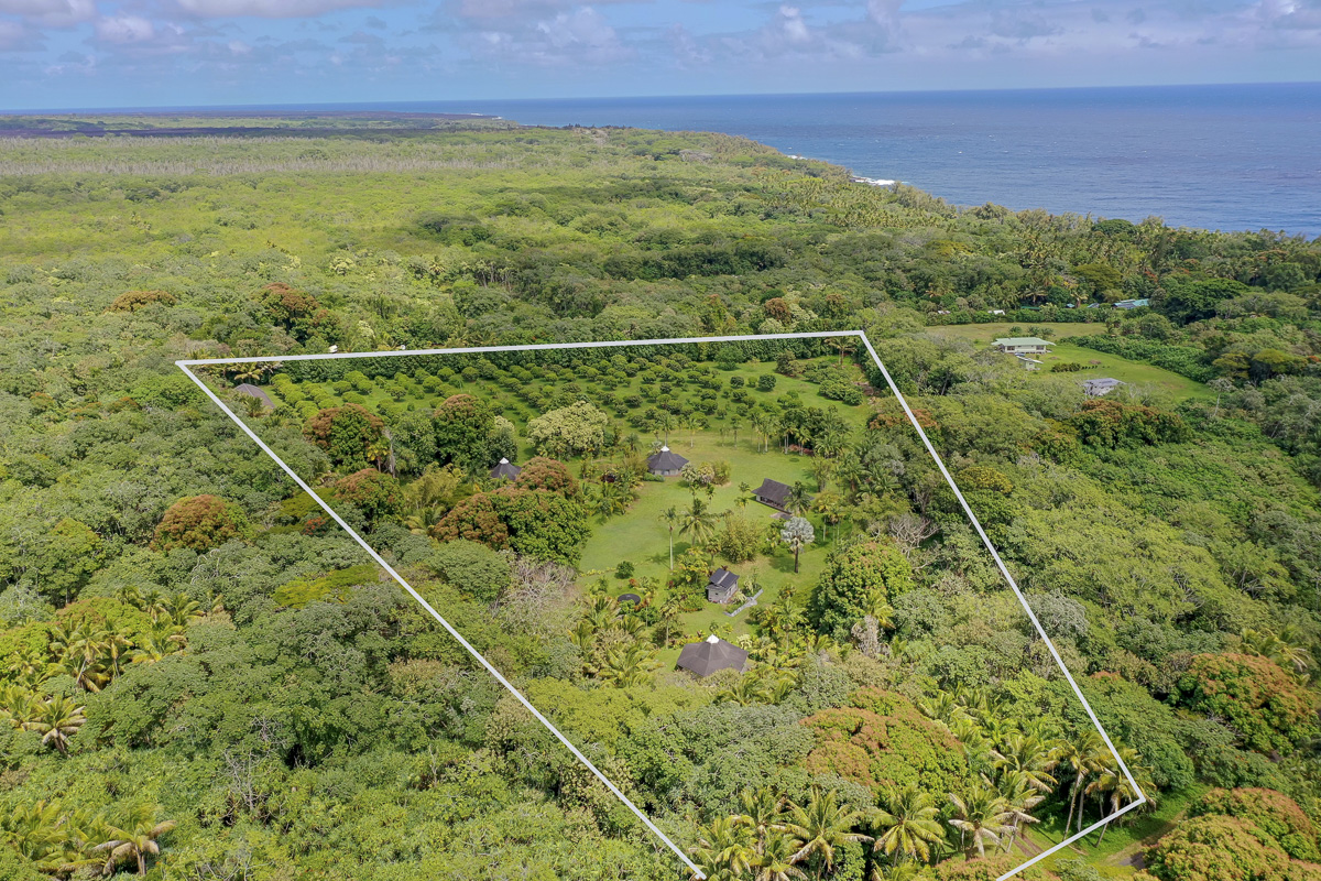 13-178 Kamaili Road Pahoa, HI 96778 - Photo 2 of 30 a view of a yard