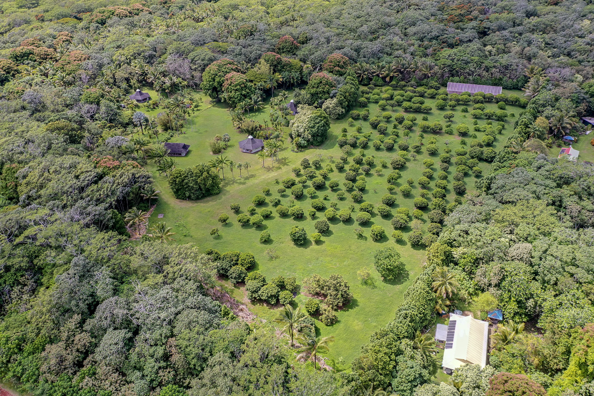 13-178 Kamaili Road Pahoa, HI 96778 - Photo 24 of 30 an aerial view of a house with a yard