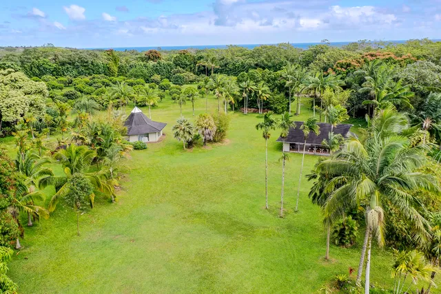 a view of a backyard