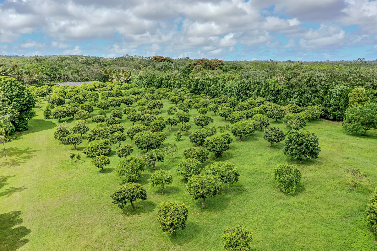 13-178 Kamaili Road Pahoa, HI 96778 - Photo 26 of 29
