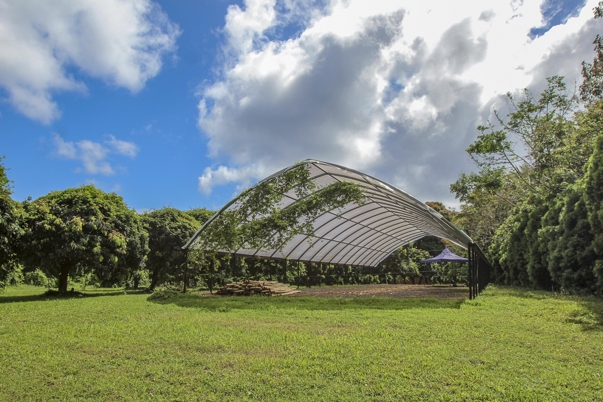 13-178 Kamaili Road Pahoa, HI 96778 - Photo 27 of 29