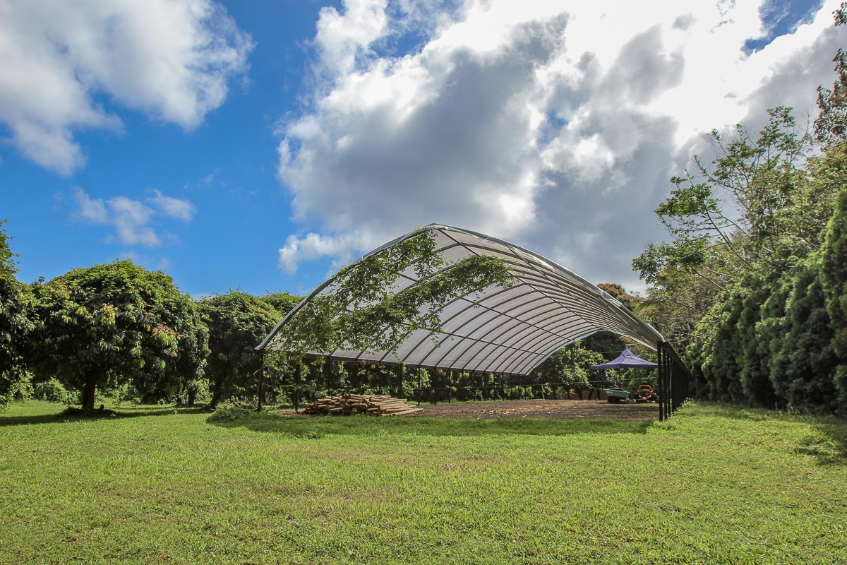 13-178 Kamaili Road Pahoa, HI 96778 - Photo 27 of 30 a front view of a house with a yard