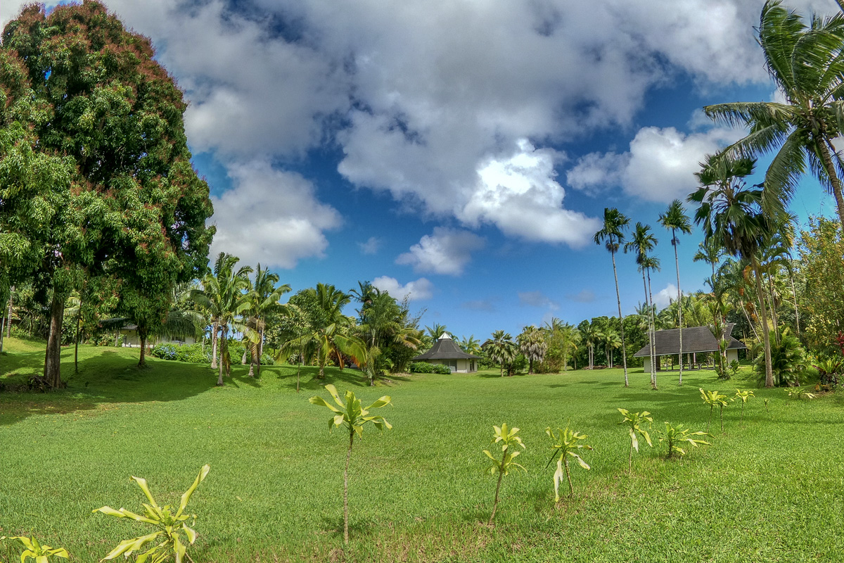 13-178 Kamaili Road Pahoa, HI 96778 - Photo 30 of 30 a lush green field with lots of trees