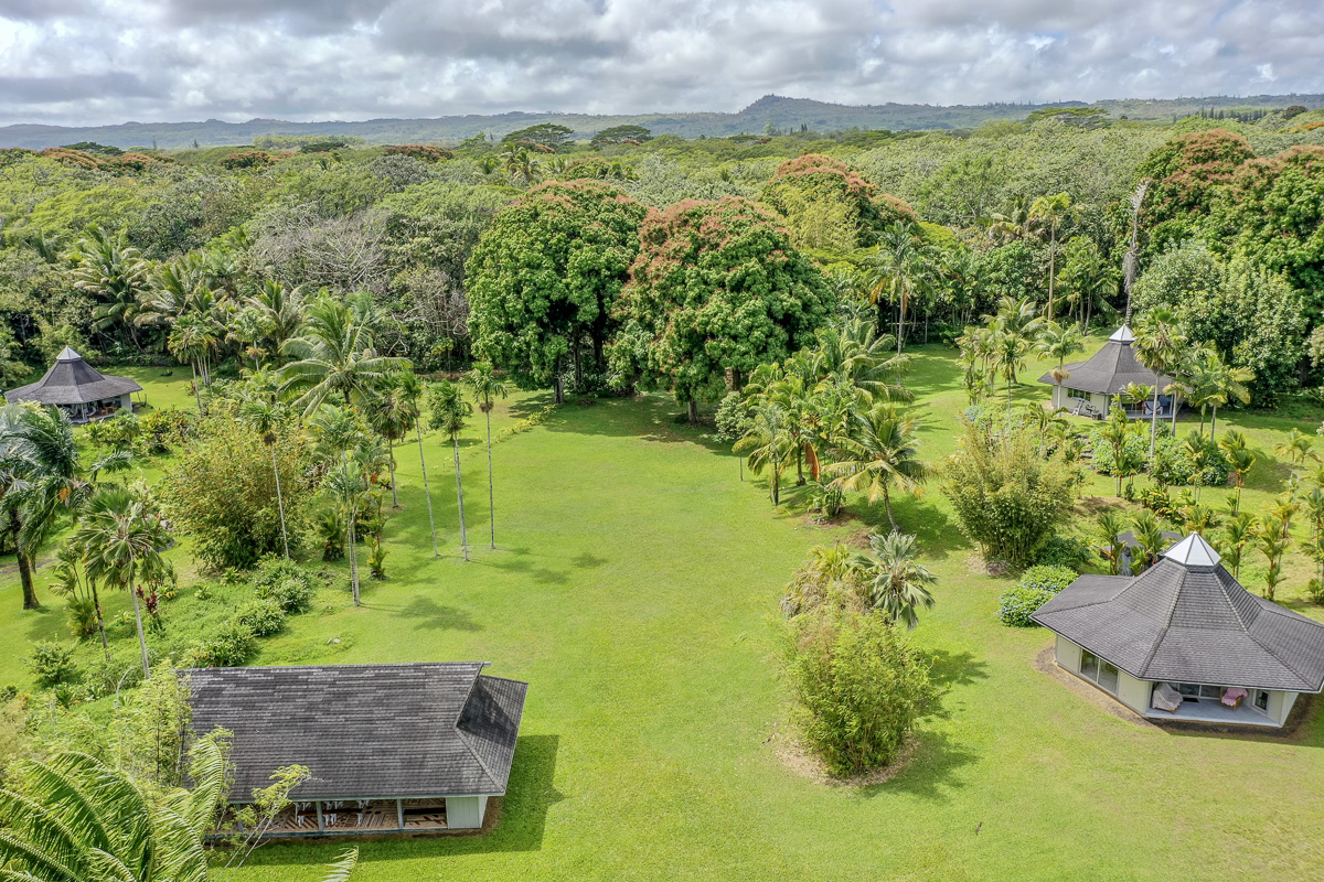 13-178 Kamaili Road Pahoa, HI 96778 - Photo 4 of 30 a view of an outdoor space and a yard