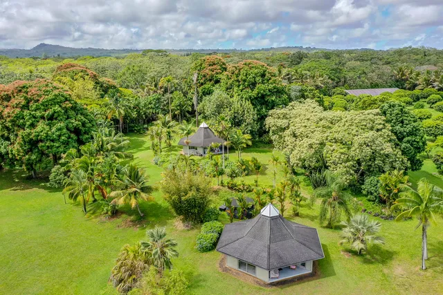 a view of a garden with a bench