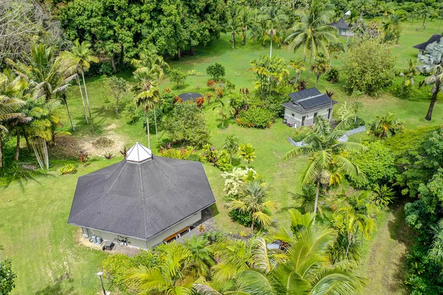 a view of a garden with a lake