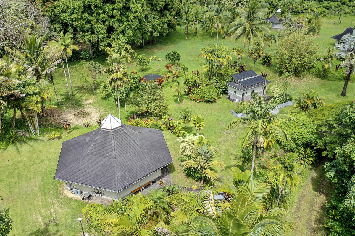 13-178 Kamaili Road Pahoa, HI 96778 - Photo 9 of 30 a view of a garden with a lake