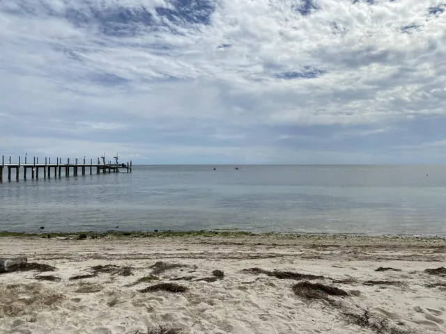 a view of a ocean beach