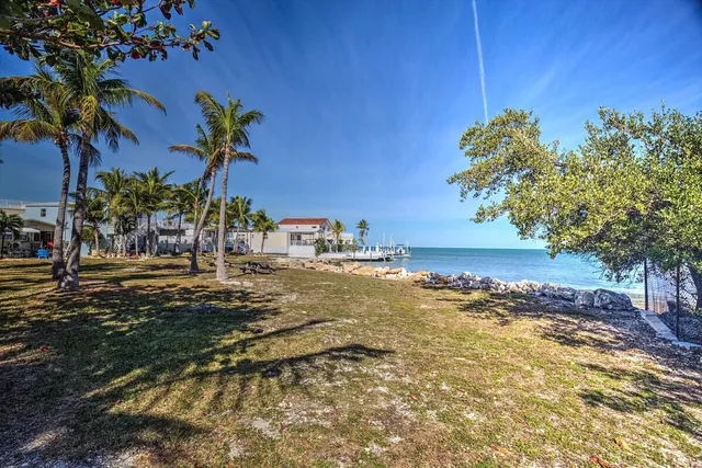 a view of a yard with an tree