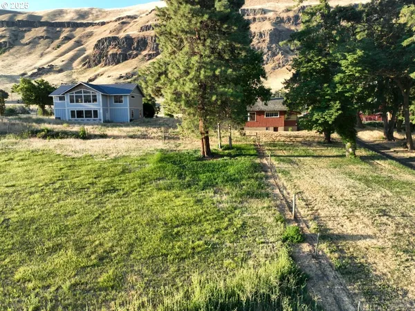 a view of large trees with a yard