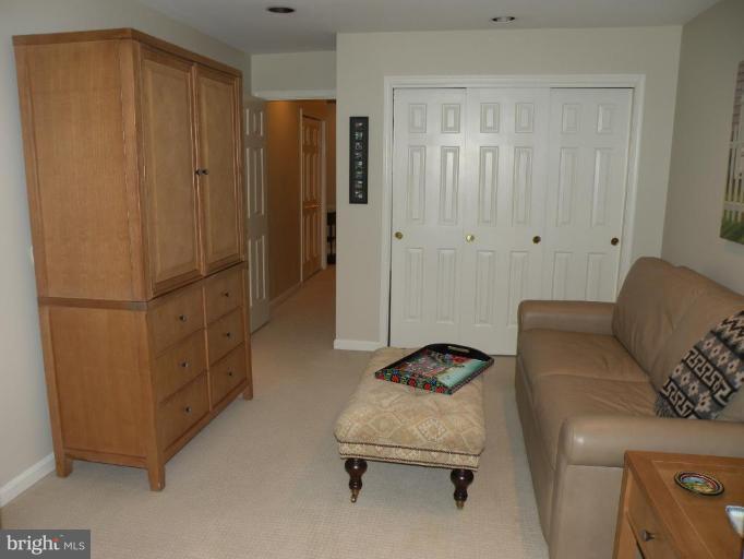 21 Raisin Tree Circle Pikesville, MD 21208 - Photo 14 of 16 Other #2