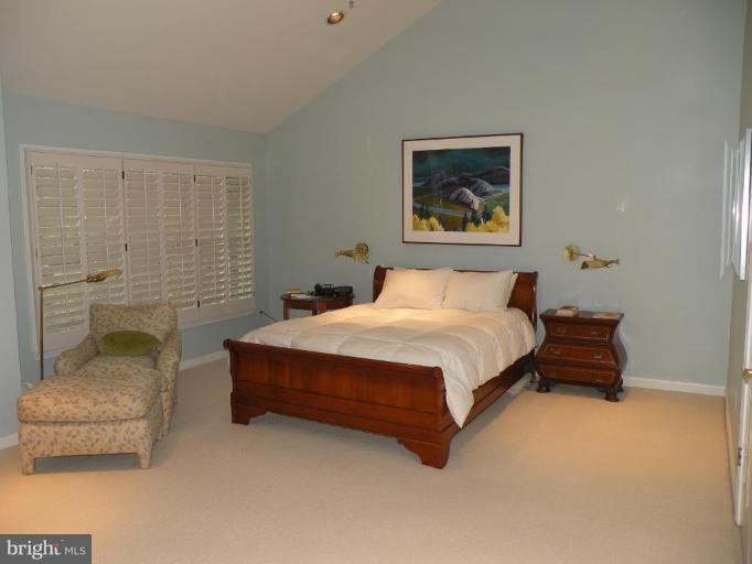 21 Raisin Tree Circle Pikesville, MD 21208 - Photo 10 of 16 Master Bedroom