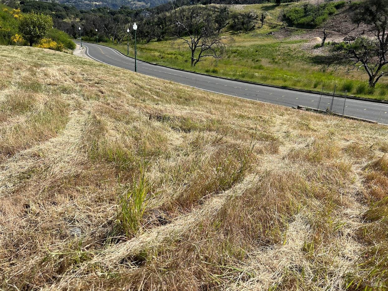 3950 Silver Fox Court Santa Rosa, CA 95403 - Photo 3 of 9 a view of yard with outdoor space